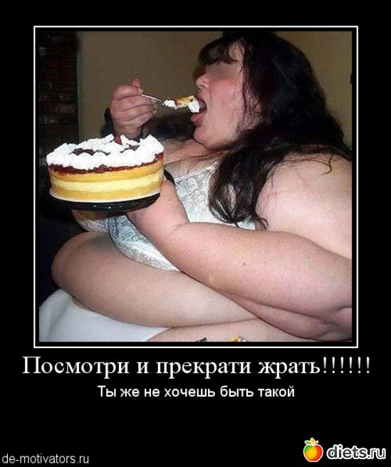 http://www.diets.ru/data/cache/2012jan/12/27/548381_85556-550x500.jpg