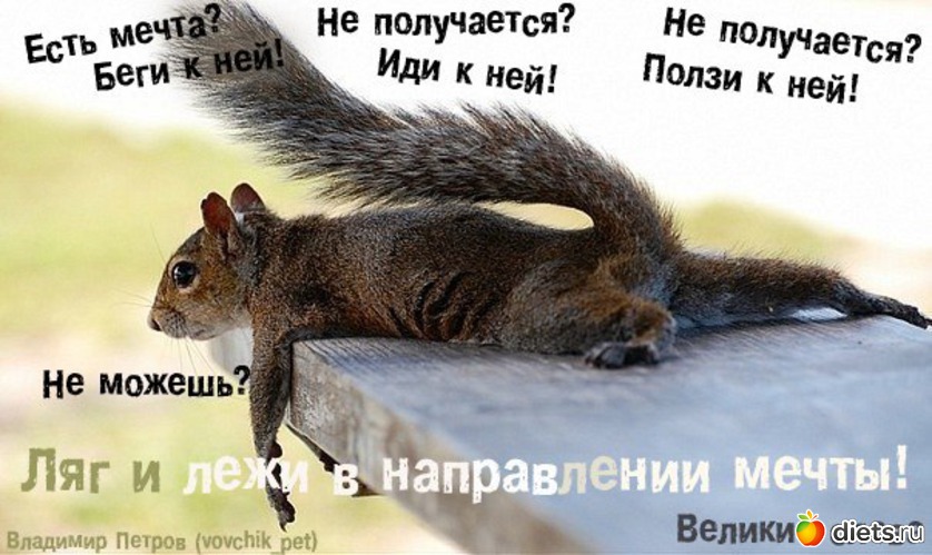 http://www.diets.ru/data/cache/2012sep/04/38/964805_30394-550x500.jpg