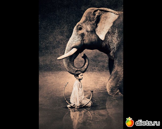 201 : &quot;Ashes and Snow&quot; / &quot;  &quot; by Gregory Colbert