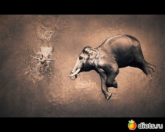 210 : &quot;Ashes and Snow&quot; / &quot;  &quot; by Gregory Colbert