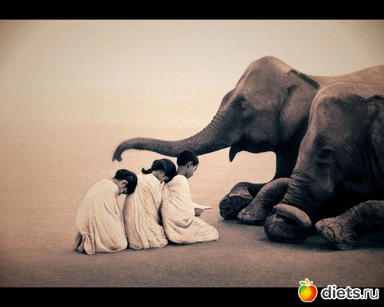 3 : &quot;Ashes and Snow&quot; / &quot;  &quot; by Gregory Colbert