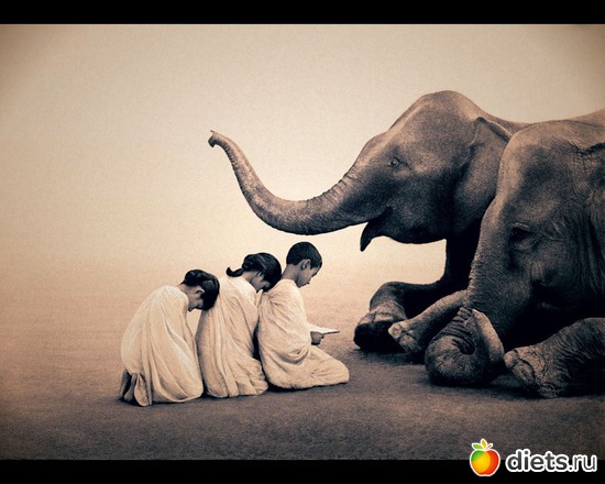 4 : &quot;Ashes and Snow&quot; / &quot;  &quot; by Gregory Colbert