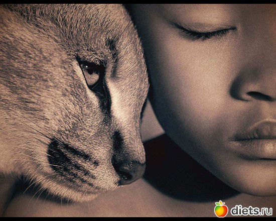 23 : &quot;Ashes and Snow&quot; / &quot;  &quot; by Gregory Colbert