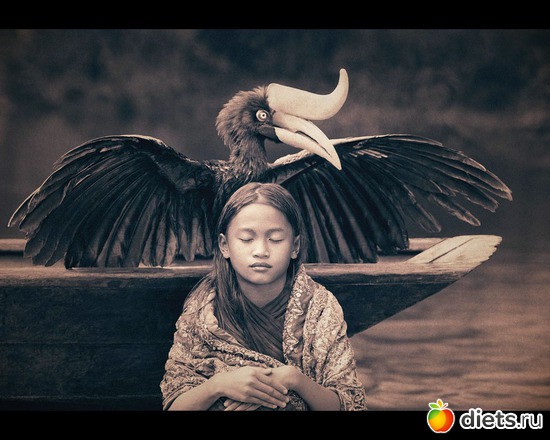 49 : &quot;Ashes and Snow&quot; / &quot;  &quot; by Gregory Colbert