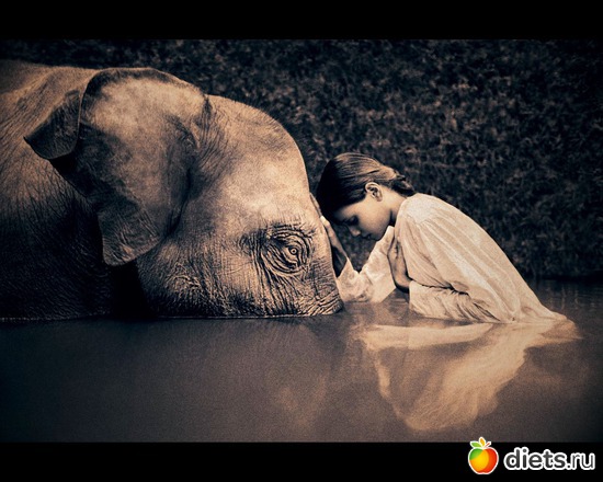 54 : &quot;Ashes and Snow&quot; / &quot;  &quot; by Gregory Colbert