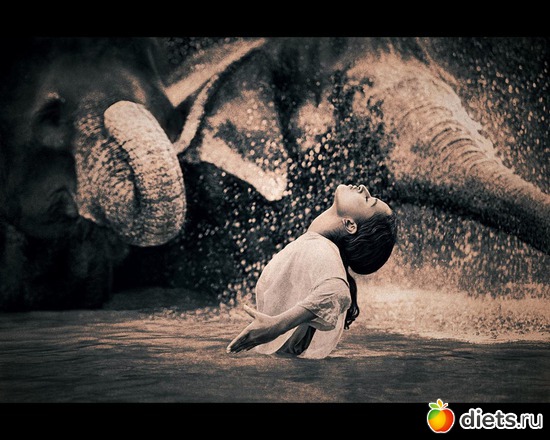 61 : &quot;Ashes and Snow&quot; / &quot;  &quot; by Gregory Colbert