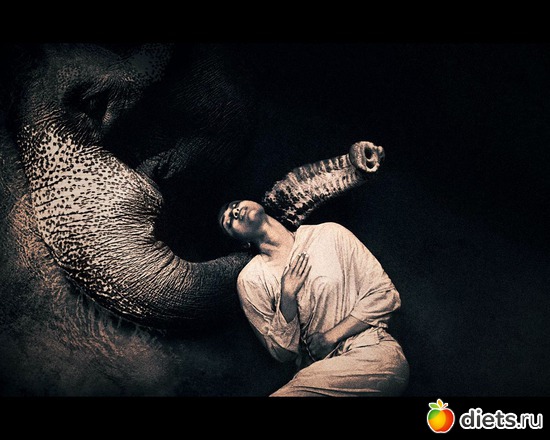 65 : &quot;Ashes and Snow&quot; / &quot;  &quot; by Gregory Colbert