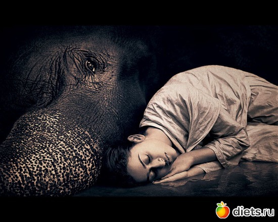 72 : &quot;Ashes and Snow&quot; / &quot;  &quot; by Gregory Colbert