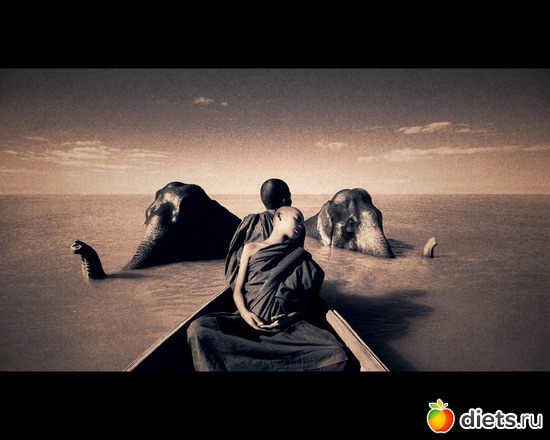 95 : &quot;Ashes and Snow&quot; / &quot;  &quot; by Gregory Colbert