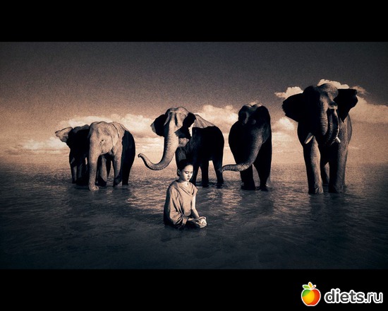 139 : &quot;Ashes and Snow&quot; / &quot;  &quot; by Gregory Colbert