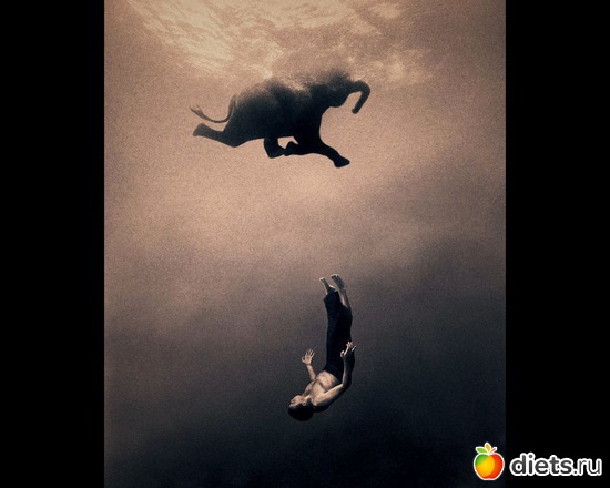 142 : &quot;Ashes and Snow&quot; / &quot;  &quot; by Gregory Colbert