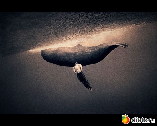 165 : &quot;Ashes and Snow&quot; / &quot;  &quot; by Gregory Colbert