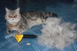 FURminator