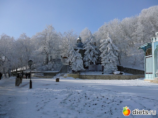 Железноводск парк зимой