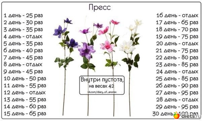 Курс таблица днем. Пресс 30 дней таблица. Пресс 30 дней таблица для девушек. Программа пресса на 30 дней для девушек таблица. Пресс по дням для девушек таблица.