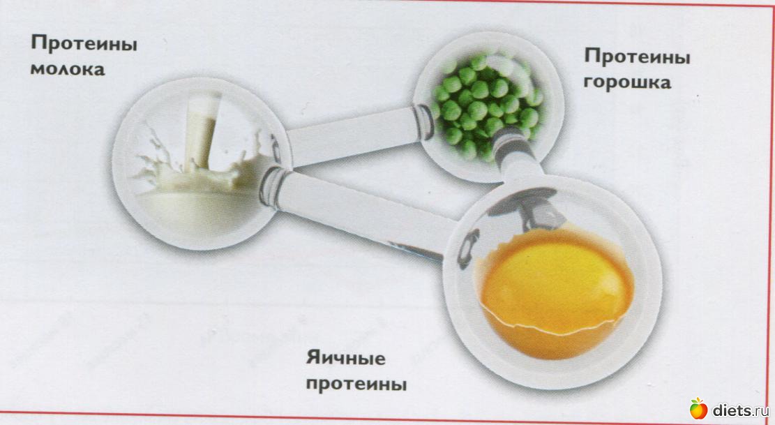 3 источника белка в супе нэчурал баланс